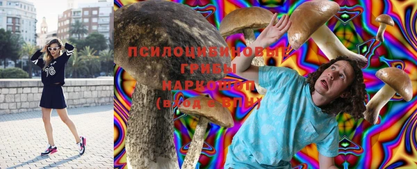 трава Абаза