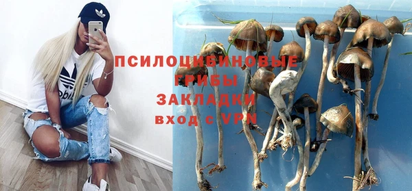 spice Абдулино